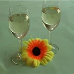 بولي كربوكسيل الملدن المتفوق